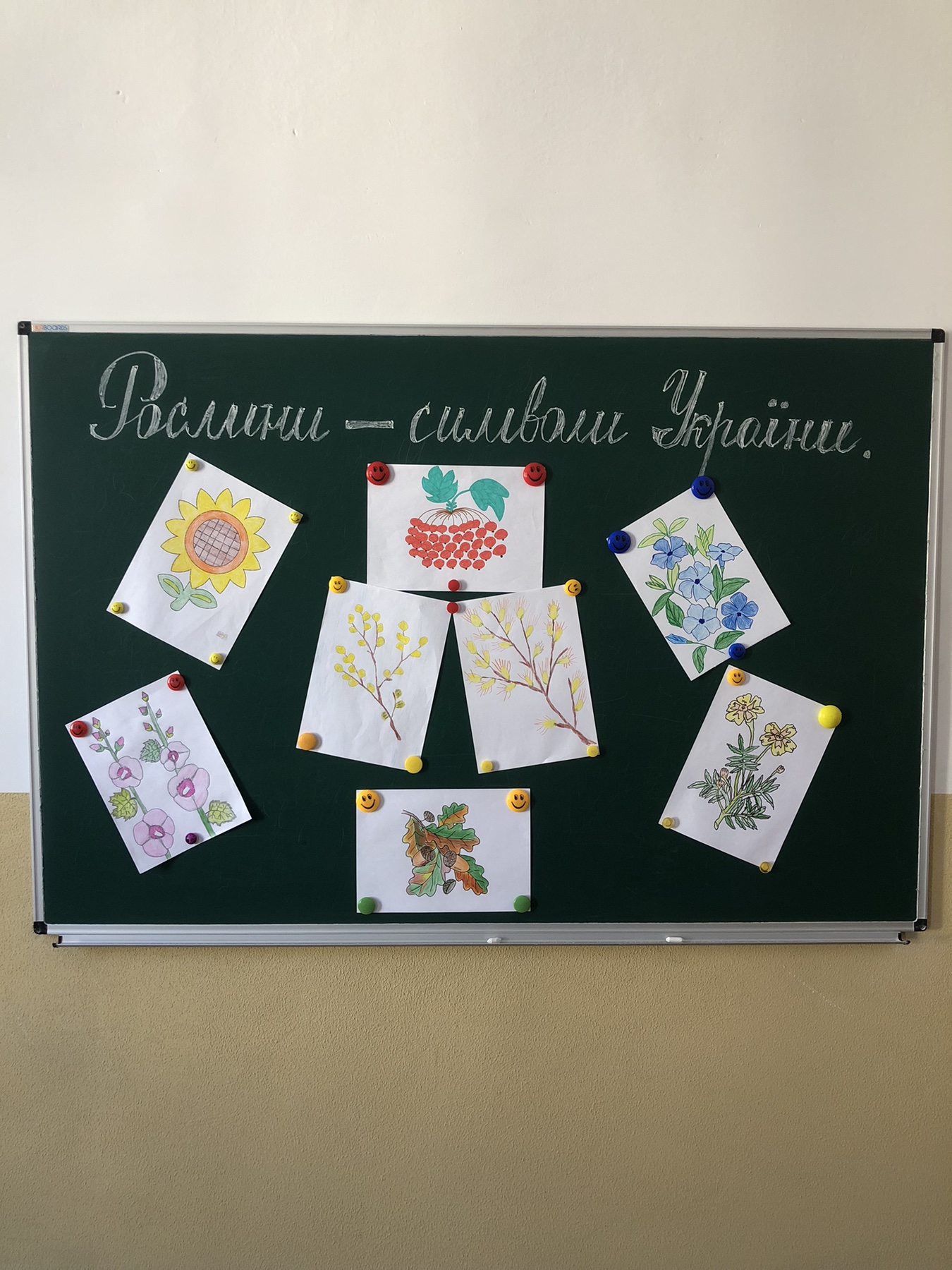Години спілкування: ” Рослини-символи України” (02.03.2023)